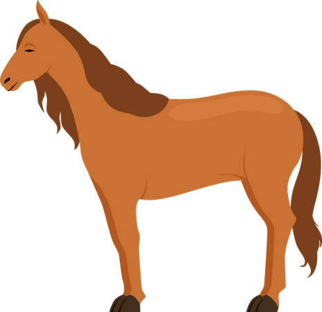 Cavalo  Ilustração