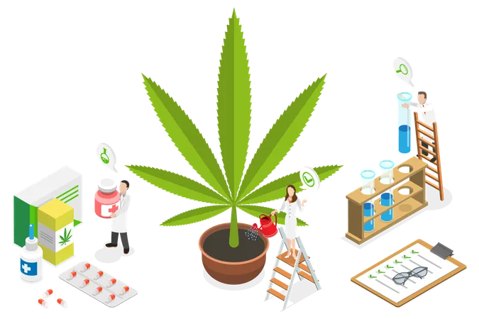 CBD Cultivation  Illustration