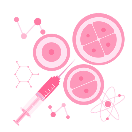 Cell division process  Illustration