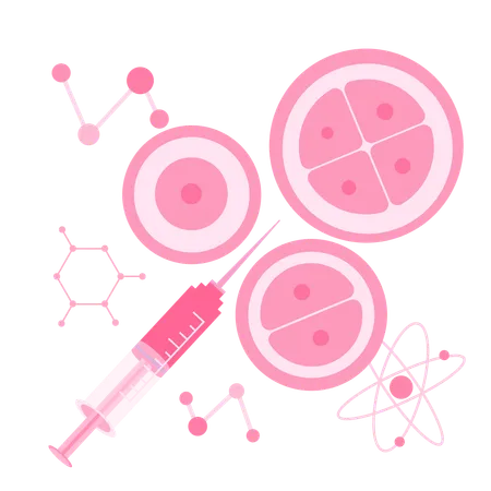 Cell division process  Illustration