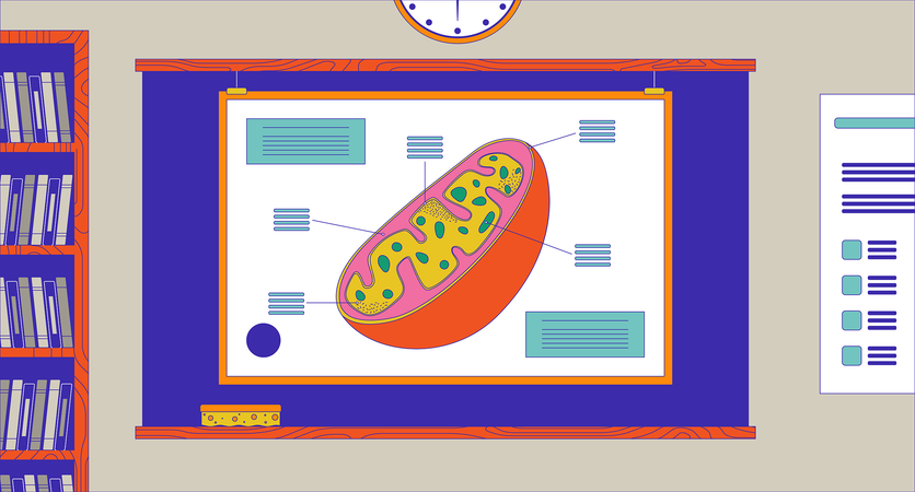 교실 칠판의 세포 모형  일러스트레이션