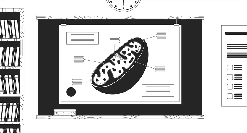 Cell model on classroom blackboard  Illustration