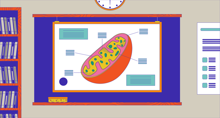 Cell model on classroom blackboard  Illustration
