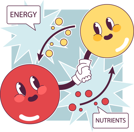 Cellular metabolism  Illustration