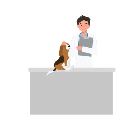 Veterinarian Team And Dog In The Clinic Veterinary Clinic Healthcare Service Or Medical Center For Domestic Animals Flat Vector Cartoon Illustration Illustration