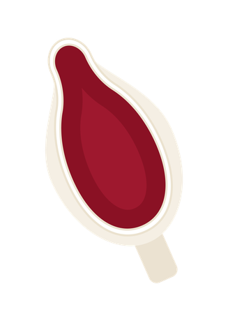 Ceramic sauce pourer  Illustration