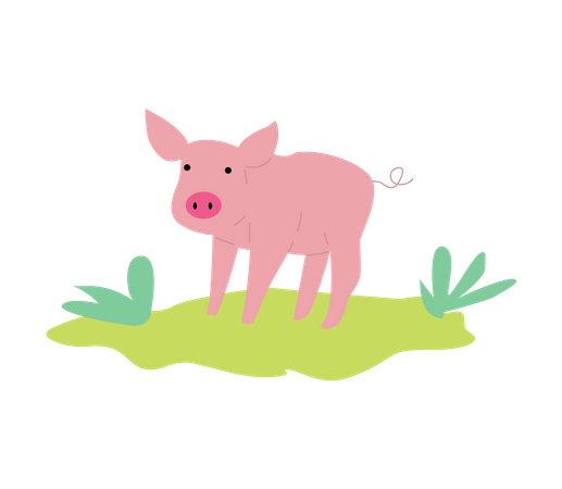 Cerdo  Ilustración