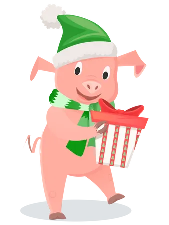 Cerdo con bufanda verde y sombrero con caja de regalo.  Ilustración