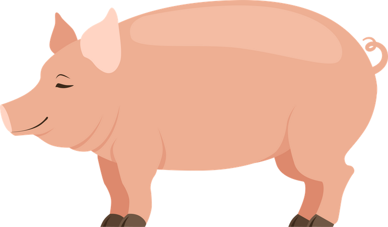 Cerdo  Ilustración