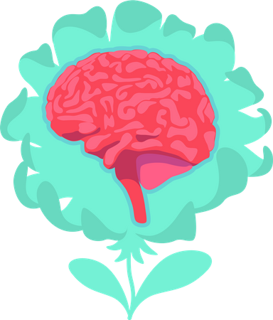 Cerebro anatómico  Ilustración