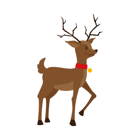 Cerf  Illustration