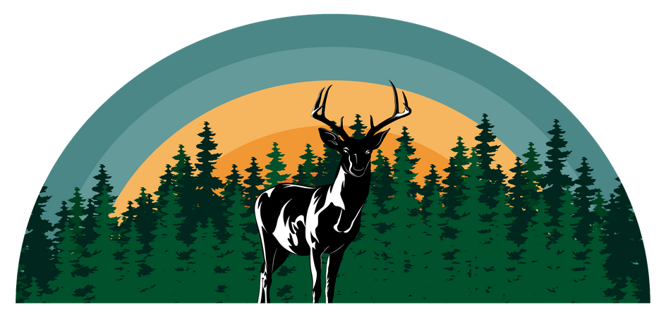 Cerf  Illustration