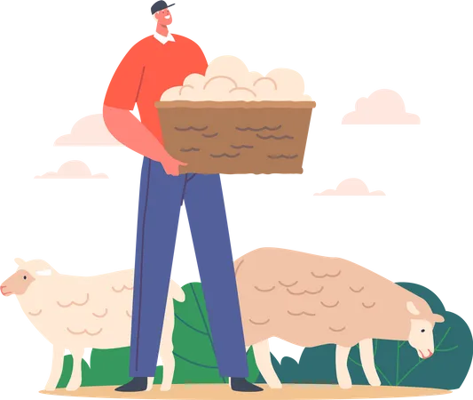 Sheepshearer segurando cesta com lã de ovelha no gado  Ilustração