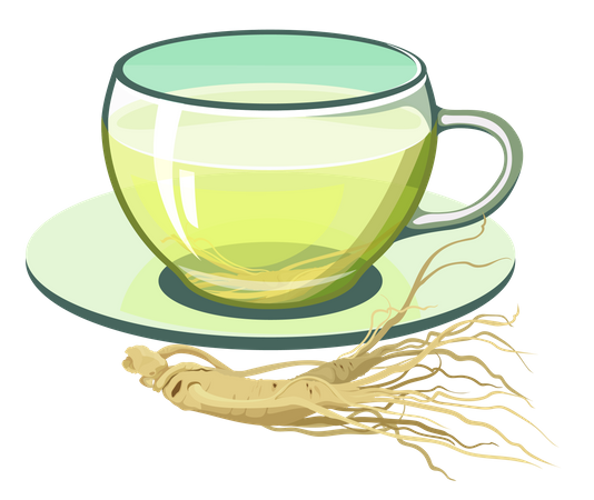 Chá de ginseng  Ilustração