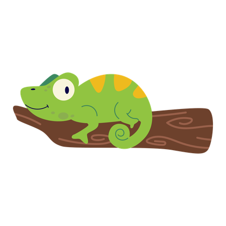 Chameleon  Illustration