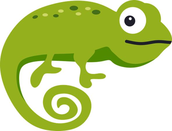 Chameleon  Illustration