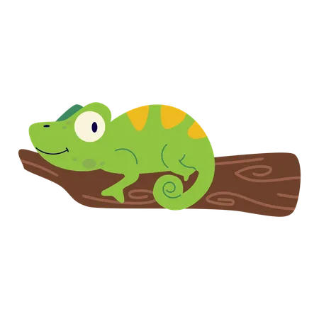 Chameleon  Illustration