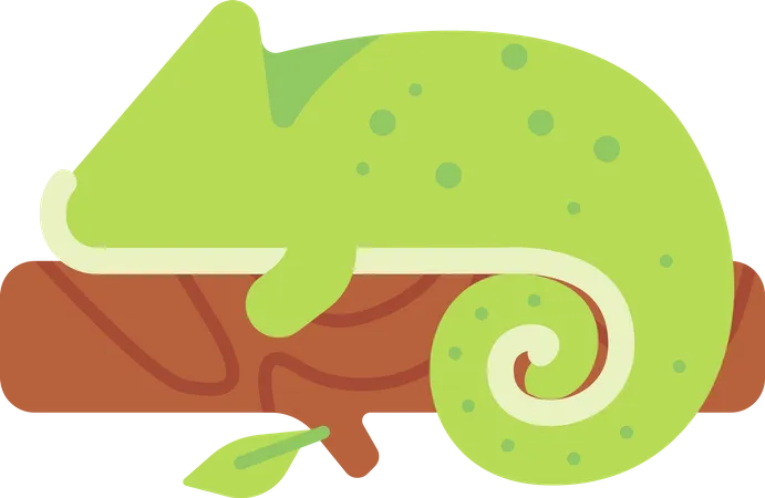 Chameleon  Illustration