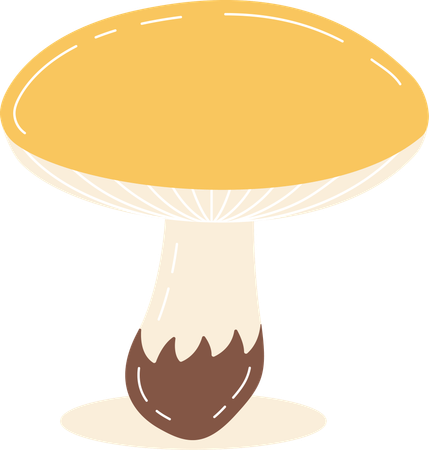 Champignon  Illustration