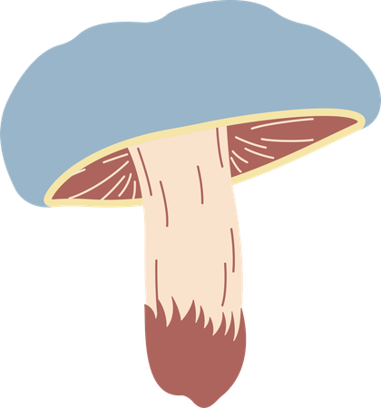 Champignon  Illustration