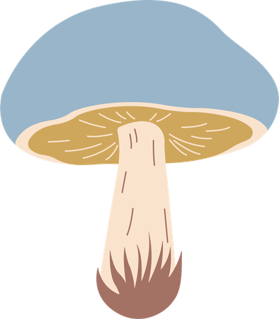 Champignon  Illustration