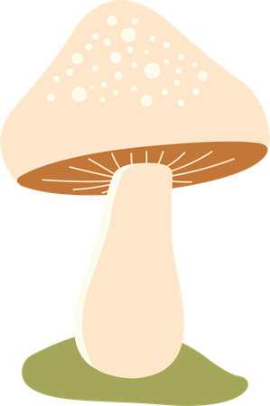 Polka aux champignons  Illustration