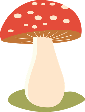 Polka aux champignons  Illustration