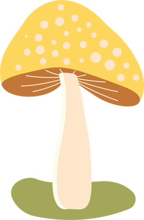 Polka aux champignons  Illustration