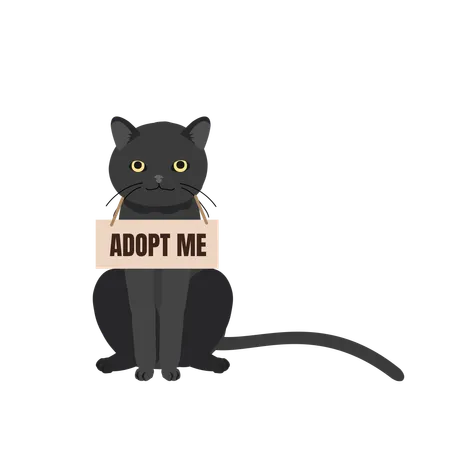 Chat avec collier « Adoptez-moi »  Illustration