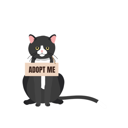 Chat avec collier « Adoptez-moi »  Illustration