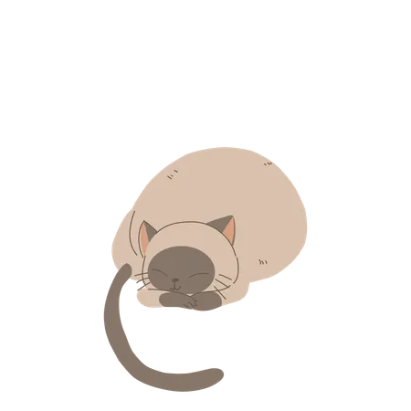 Chat domestique mignon recroquevillé dans une pose confortable et douillette  Illustration