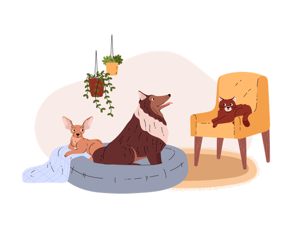Chat et chiens dans la maison  Illustration
