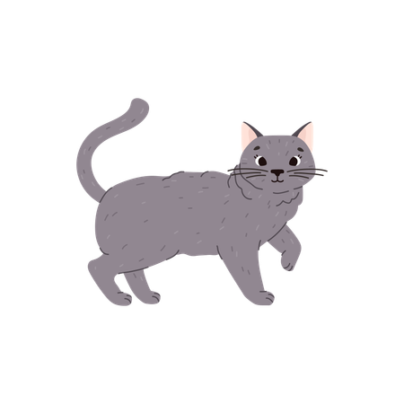 Chat mignon et drôle de race british shorthair  Illustration