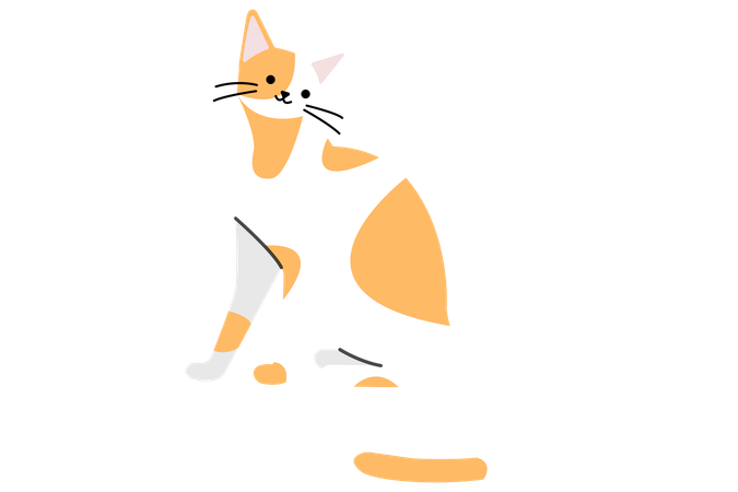 Chat orange  Illustration