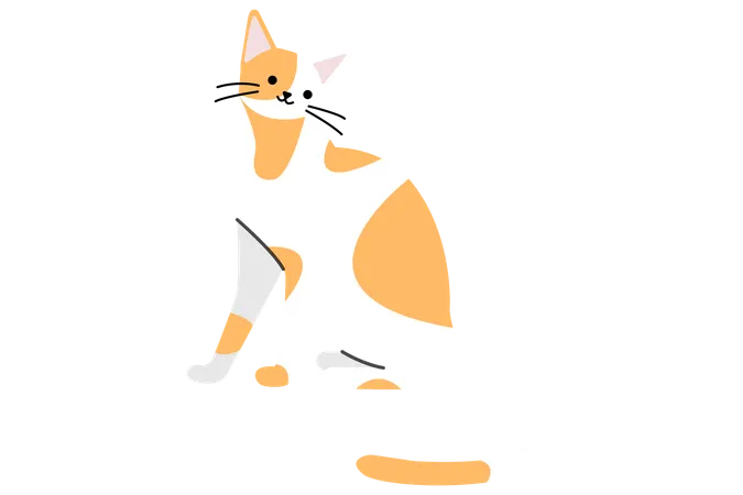 Chat orange  Illustration