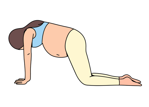 Chat vache pose yoga  Illustration