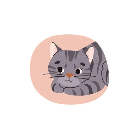 Chaton mignon  Illustration