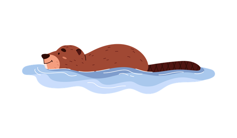 Cheerful beaver swimming in water  Illustration