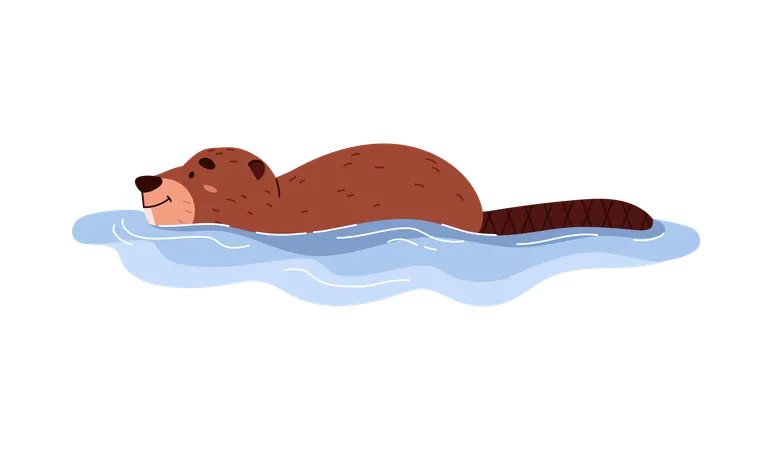 Cheerful beaver swimming in water  Illustration