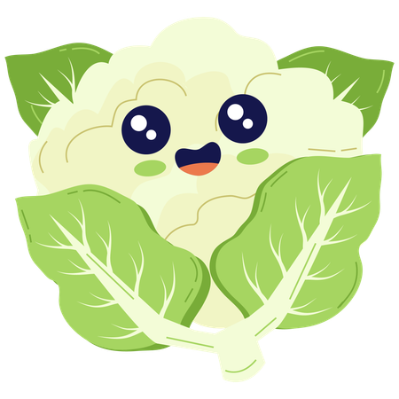 Cheerful Cauliflower  Illustration