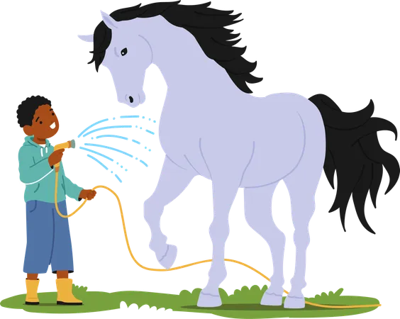 Cheerful Little Boy Character Joyfully Washes A Content Horse With A Hose In A Sunlit Summer Field Their Laughter Echoing Amidst The Splashes And Warmth Of The Day Cartoon People Vector Illustration Illustration