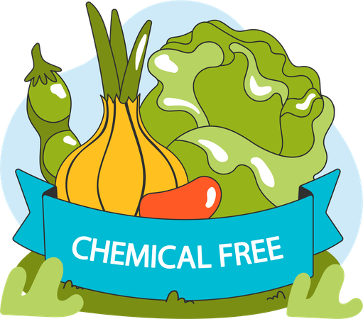 Chemical Free vegetables  イラスト