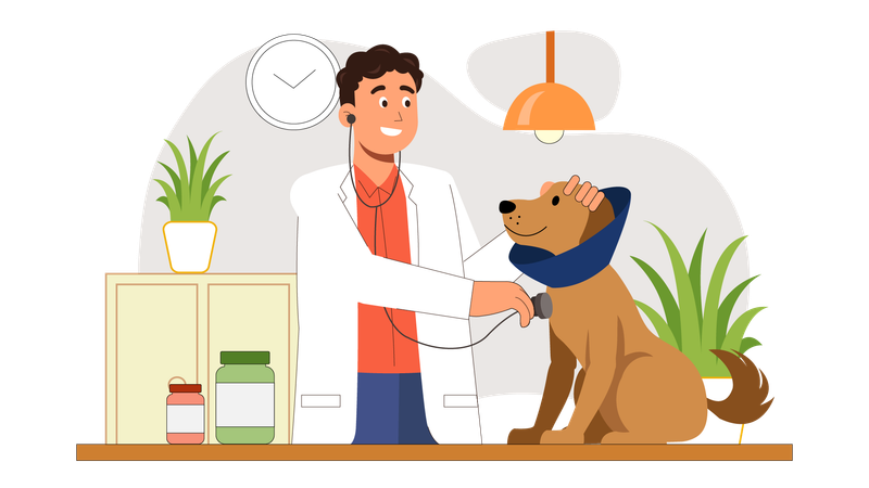 El médico controla la salud del perro.  Ilustración