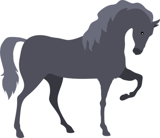 Cheval  Illustration