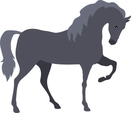 Cheval  Illustration