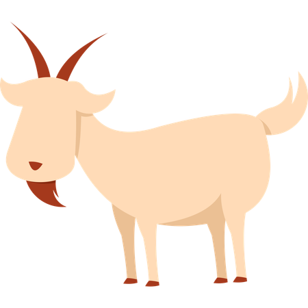 Chèvre  Illustration