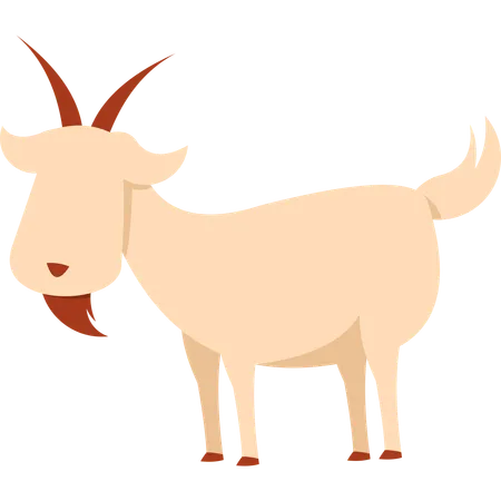 Chèvre  Illustration