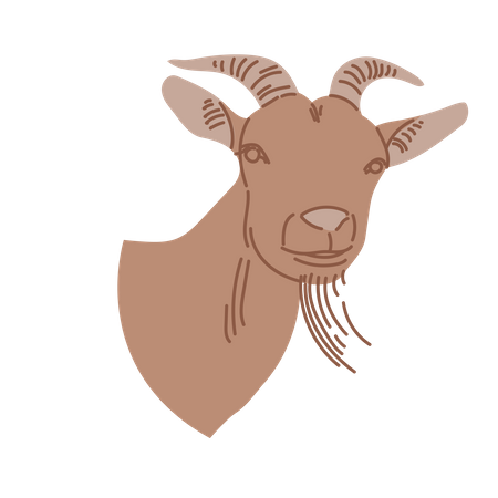 Chèvre  Illustration
