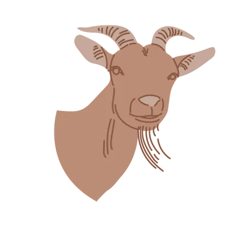 Chèvre  Illustration