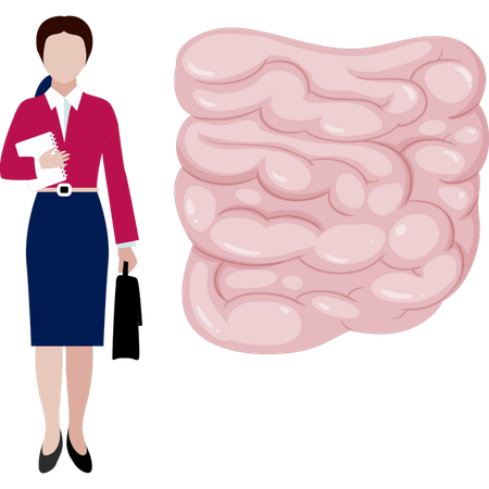 Niña con archivo de pie cerca del colon humano  Ilustración